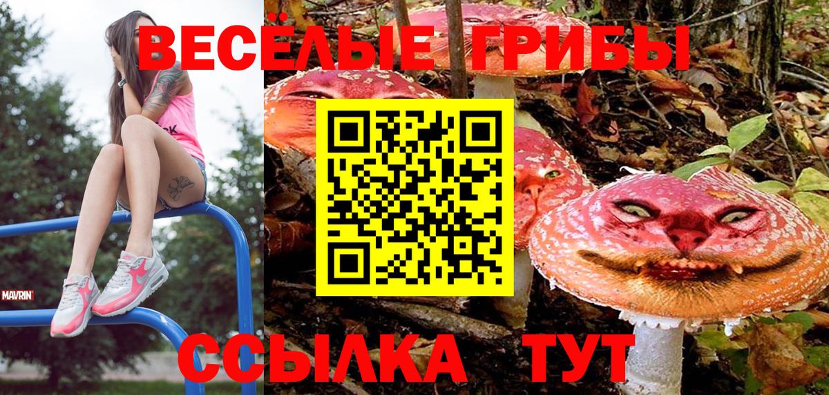 Псилоцибиновые грибы ЛСД Мирный