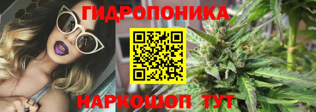 Бошки Шишки марихуана  Канабис VHQ  Каннабис White Widow  Мирный  Вход с VPN 